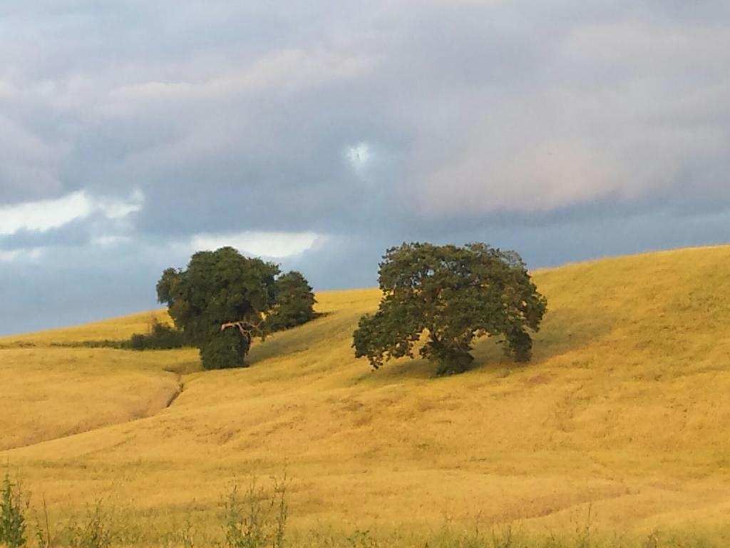 Agriturismo San Pierino Monteroni dʼArbia Eksteriør bilde