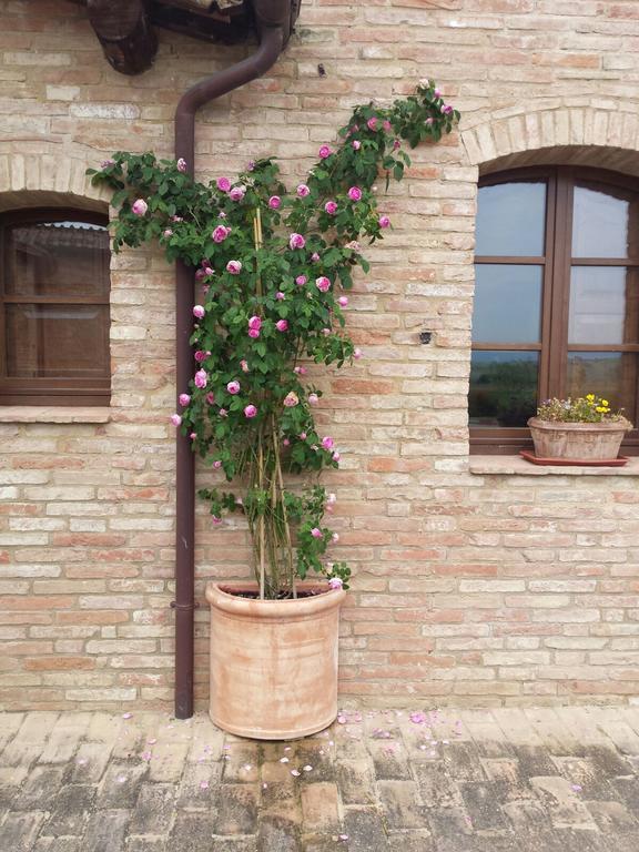 Agriturismo San Pierino Monteroni dʼArbia Eksteriør bilde